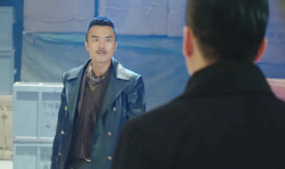 杨炼主演的电视剧,激情燃烧的岁月