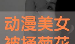 动漫美女被捅,动漫美女遭遇不测